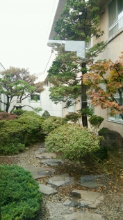 理学療法室　中庭が綺麗になりました