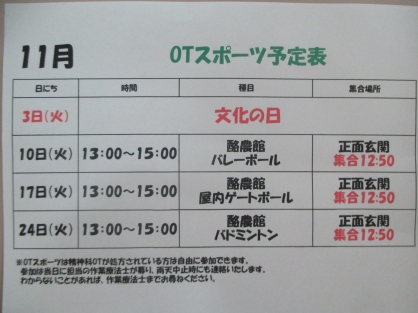 精神OT　11月の『スポーツ』予定表
