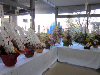 【法人設立50周年】 祝花