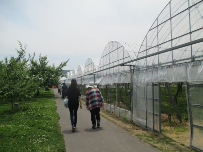 西館4階、5階合同でいちご狩りを実施