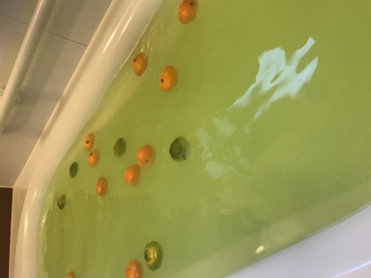 【いいお風呂の日】を楽しみました！